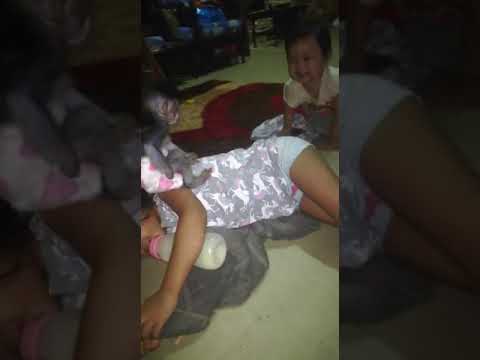 Baby monyet nakal 