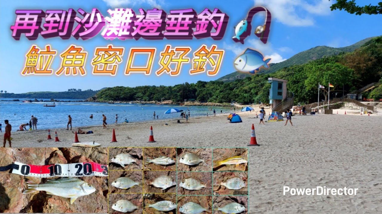 沙灘原本釣沙鑽 卻遇上魚群 岸釣|遠投|沙鑽~綠鷹清水灣釣魚樂(142)