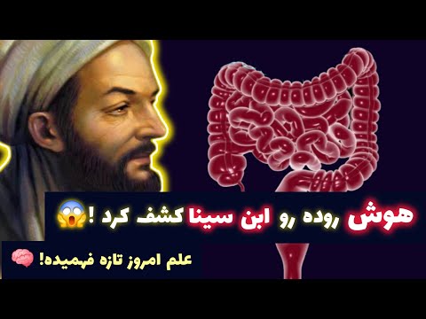 ابن سینا و هوش روده راز ۱۰۰۰ ساله ای که دنیا رو شوکه کرد