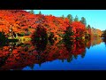 Karuizawa's autumn leaves in 2025 are some of the most colorful in recent years!