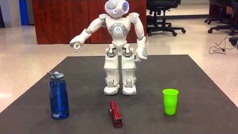 Robot Object Identification