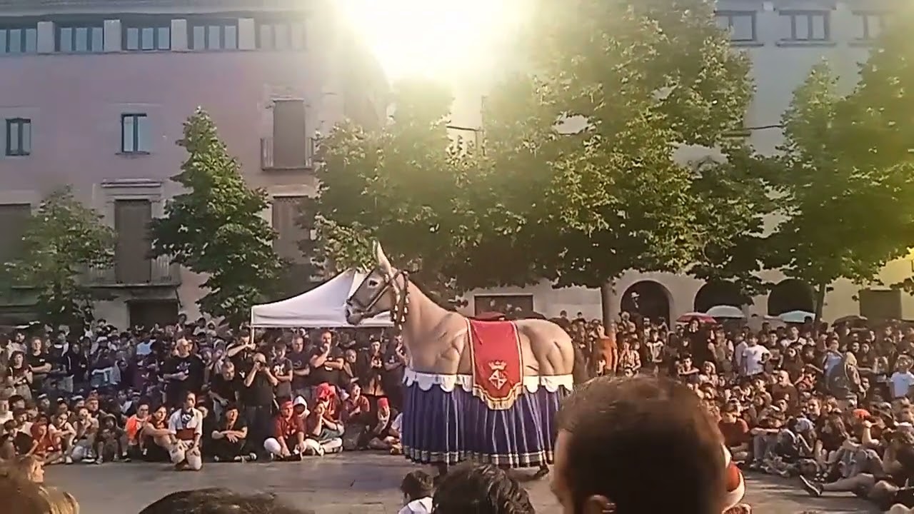 Ball de la Mulassa de Granollers per la ceremonia del pregó de Festa Major de blancs y blaus 2025