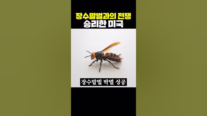 장수말벌과의 전쟁에서 승리한 미국
