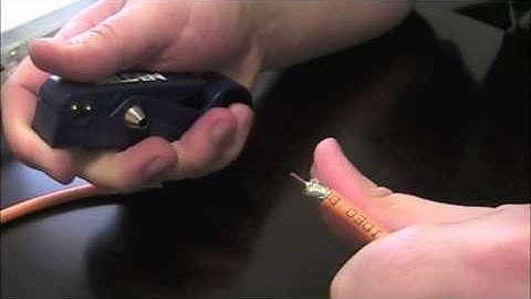 Belden RCA Connectors