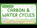 Understanding Earth's Cycles