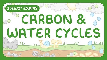 GCSE Biology - Carbon Cycle & Water Cycle (2026/27 exams)