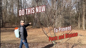 Fruit Tree EXPERT Reveals Disease Prevention Secrets