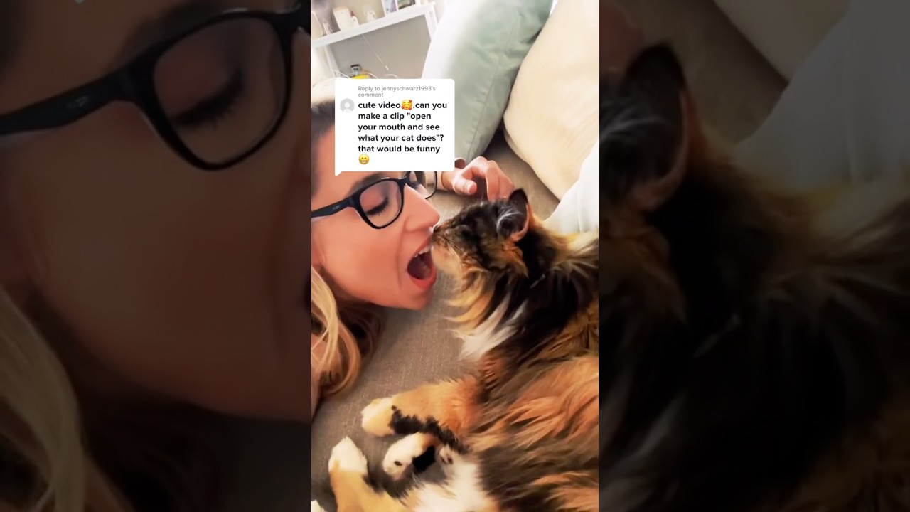 Open your mouth and see what your cat does😹👀