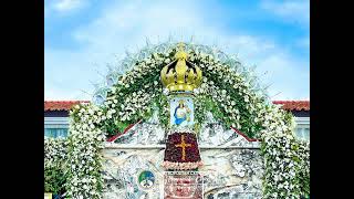 MYSTERY OF FAITH - 2019 PONTIFICAL MASS IN HONOR OF OTLP - Z