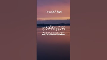 #قران_كريم تلاوة هادئه | سورة العنكبوت | عبد الرحمن مسعد 💙💙 .