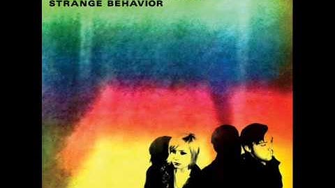 Screen Vinyl Image – New Visions