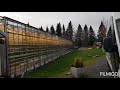 TOMATO PLANTATION IN ICELAND.