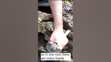 Open a strange rock  #fossils  #rock  #hunting  #mining  #ammonites  #shorts