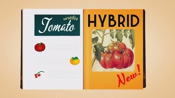 Heirloom Seeds vs. Hybrids