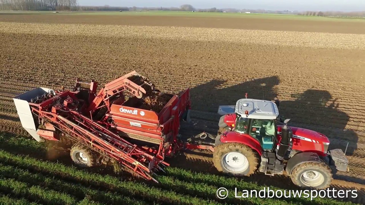 Wortels rooien 2016 - Defour uit Ardooie - DJI Phantom 3