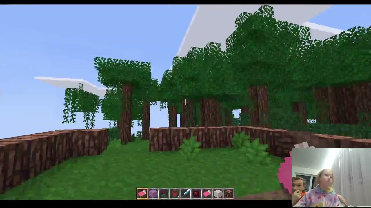 Minecraft? Катя строит дом!