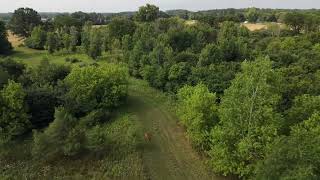 40± Acres in Mount Pleasant, Michigan | Land Auction