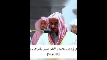 تلاوة جميلة تشرح الصدر ، المائدة ، فضيلة الشيخ: سعود الشريم