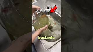 Ella Colocó A Todos Los Peces En El Fregadero