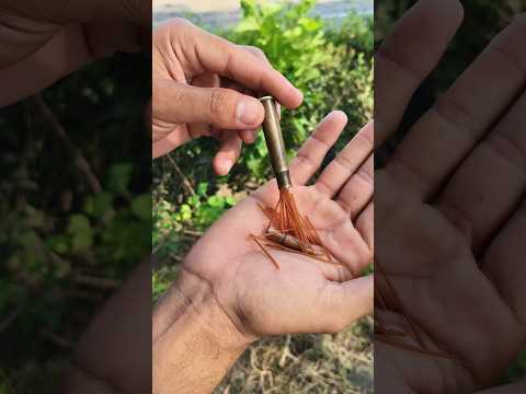 Ever Wondered What’s Inside a Bullet?