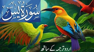 Surah Yaseen |Qari Abdul Basit Abdul Samad |Tilawat E Quran |Surah Yaseen with Urdu tarjuma |Quran |