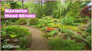 Celebrity Prune by mid-June | Volunteer Gardener Net Worth