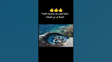 🌊 "مرج البحرين يلتقيان" تلاوة تهز القلوب | القارئ أحمد النفيس