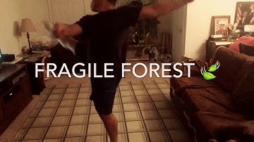 Fragile Forest - Kalani Hilliker