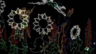 Callaway Gardens Fantasy in Lights 2009 | Christmas Light Show