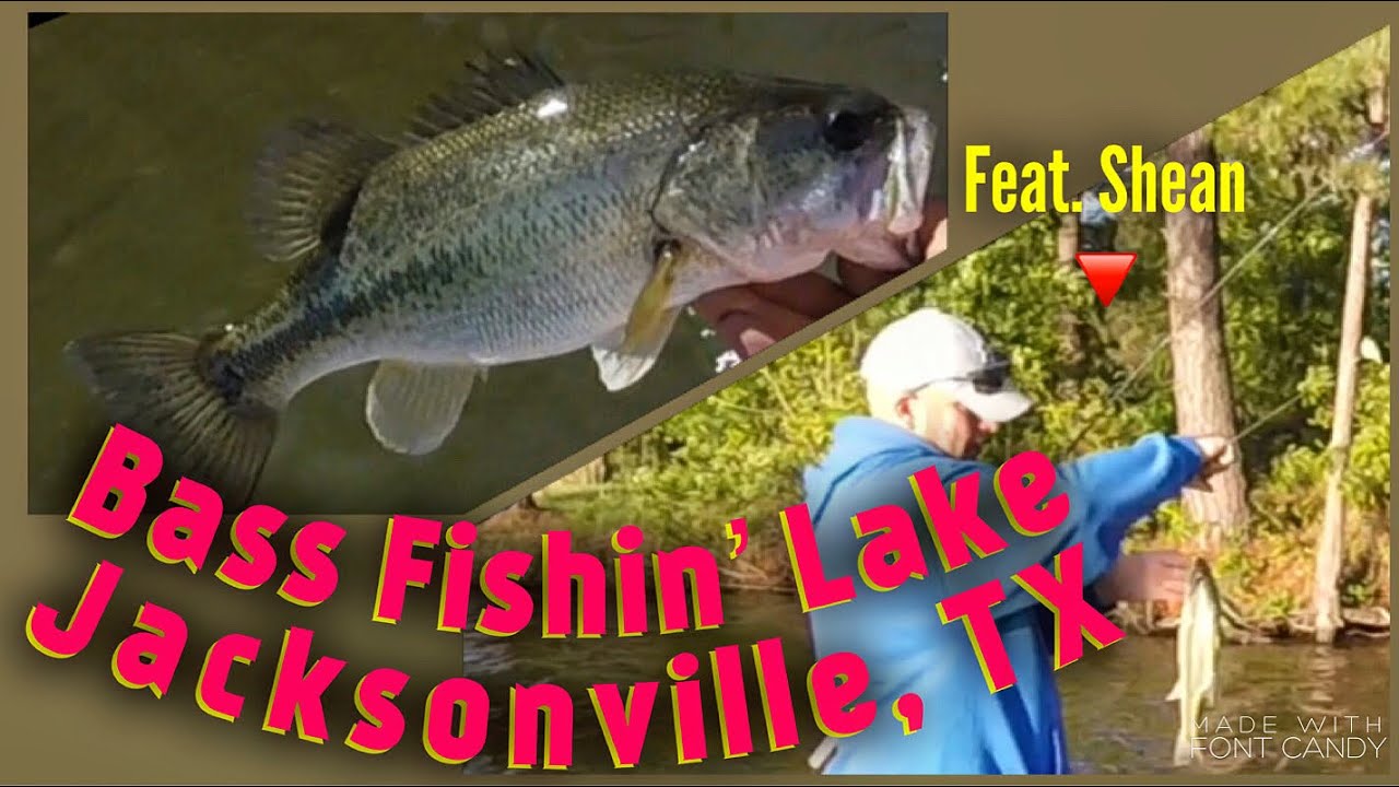 BASS Fishing Lake Jacksonville, TX - YouTube