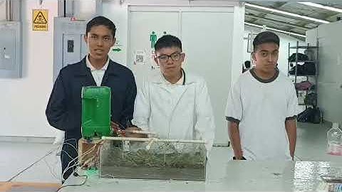 Sistema de riego automatizado