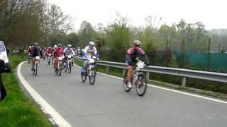 Terre Dellerbaluce 2010