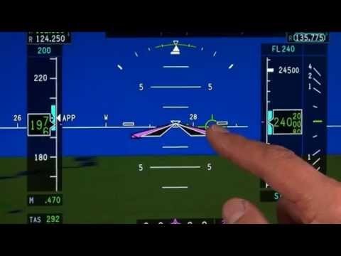 Flight path vector - #9