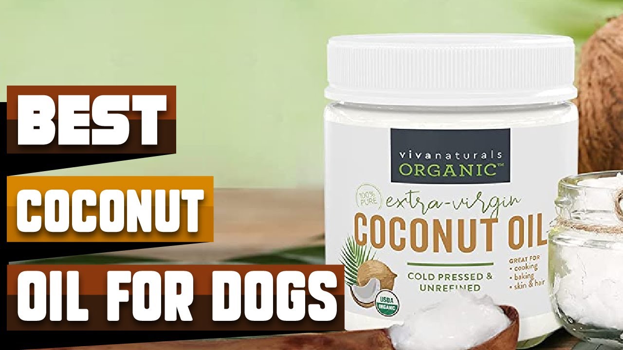 Best Coconut Oil For Dogs Skin Which Coconut Oil Is Best For Dogs