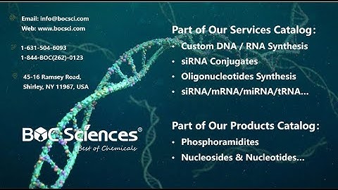 Nucleic Acids -  DNA and RNA - DNA vs RNA