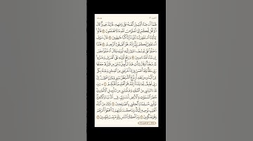 الورد اليومي: 4 صفحات (245-246-247-248) لتجنب هجر القرآن | تذكير يومي مستمر #قرآن #تلاوة