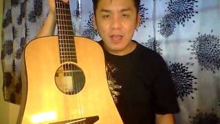 Baden D Style Sitka Spruce/Indian Rosewood Guitar Review In Singapore Baden D Style Sitka Spruce/Indian Rosewood Guitar Review In Singapore