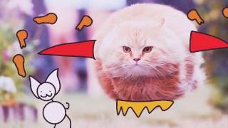 Flying On The Favorite Chicken Striporiginal Meme