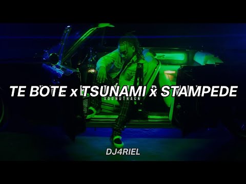 Ozuna x Borgeous & DVBBS x Dimitri Vegas & Like Mike - Te Bote x Tsunami x Stampede (dj4riel Mashup)