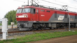 東北線間々田付近 E257 EH500-53  EF66  GX7 MK2  2019-05-31