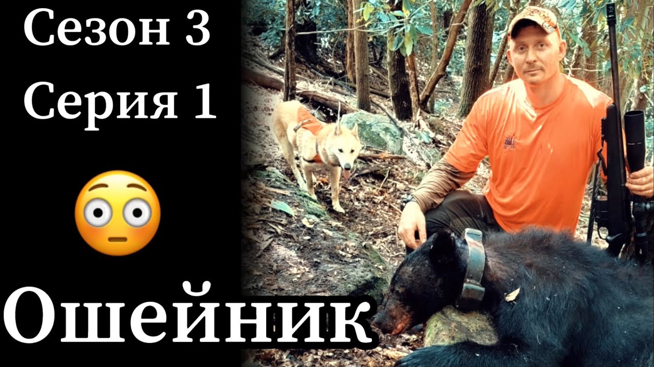 Вест вирджиния корабль