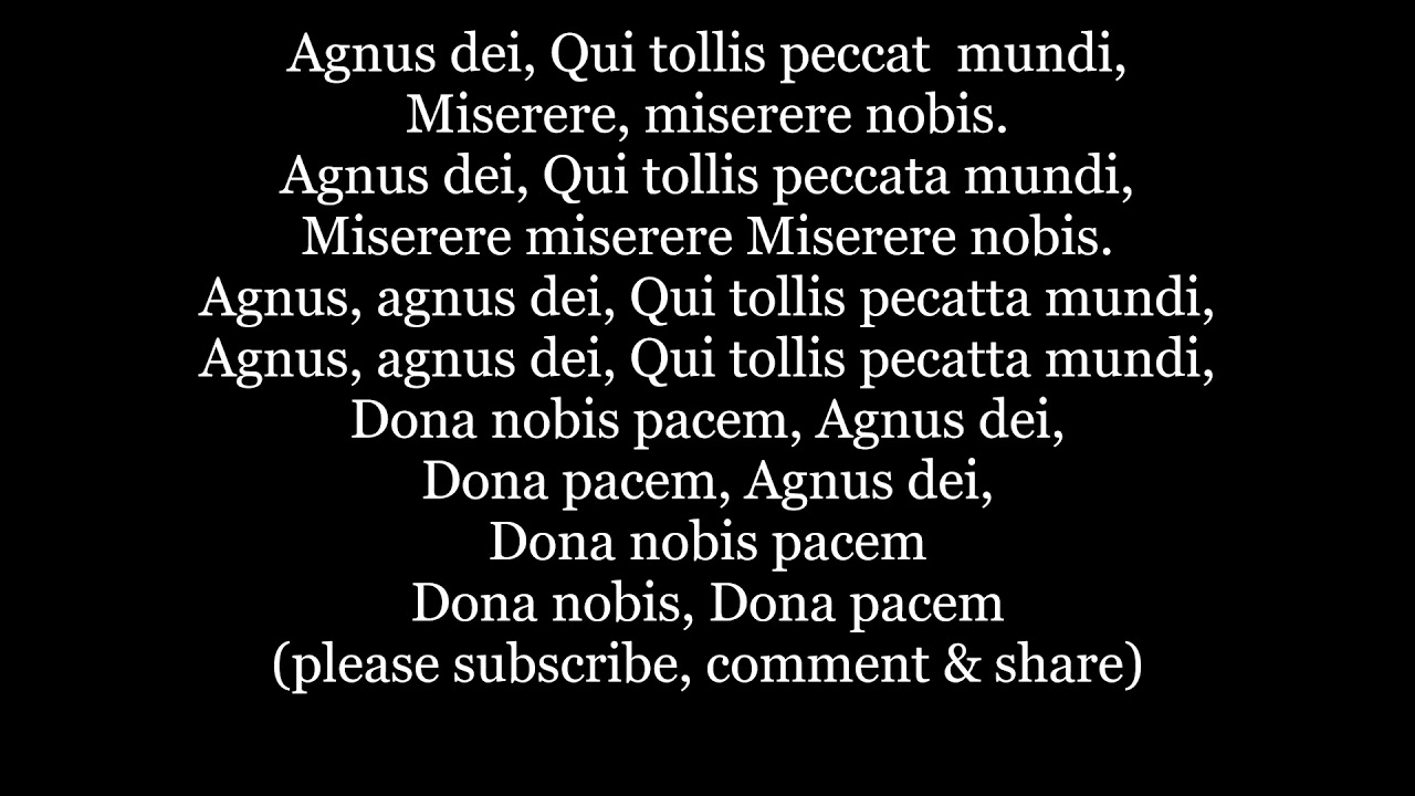 Lamb of God who takes away the sins of the world have mercy on us/ grant us peace AGNUS DEI