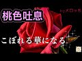 高橋真梨子【桃色吐息】懐メロ 80年代 名曲 (歌詞付き) J-POP cover (* ́○`)o¶~~♪