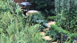 Final garden photos edit screenshot 4