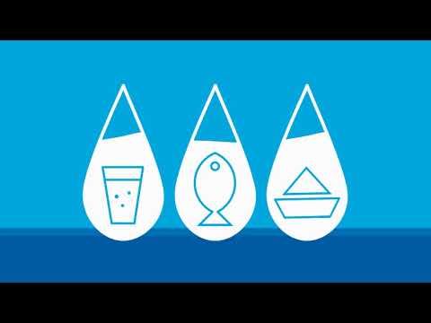 ვიდეო: რა მნიშვნელობა აქვს წყლის თვალყურის დევნებისას?