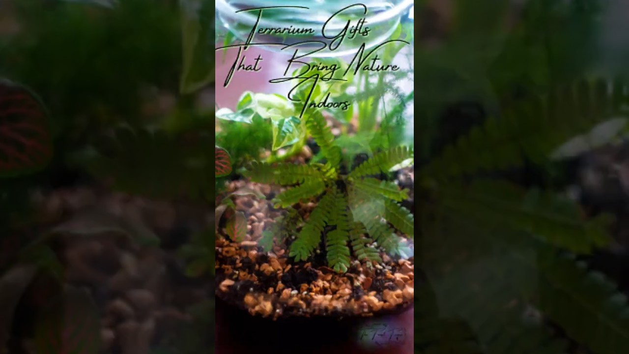 ✨ Terrarium Gifts That Bring Nature Indoors | Unique Living Decor for Plant Lovers 🌿