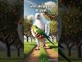 घायल तोता और कबुतर #shorts