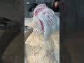 #asmr #oddlysatisfying #cleantok #soap #fyp #relaxing #satisfying #satisfyingsounds #shortsvideo #fy