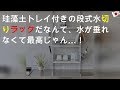珪藻土トレイ付きの2段式水切りラックだなんて、水が垂れなくて最高じゃん…！