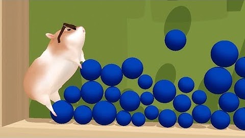 Hamster Maze - All Levels Gameplay Android, iOS